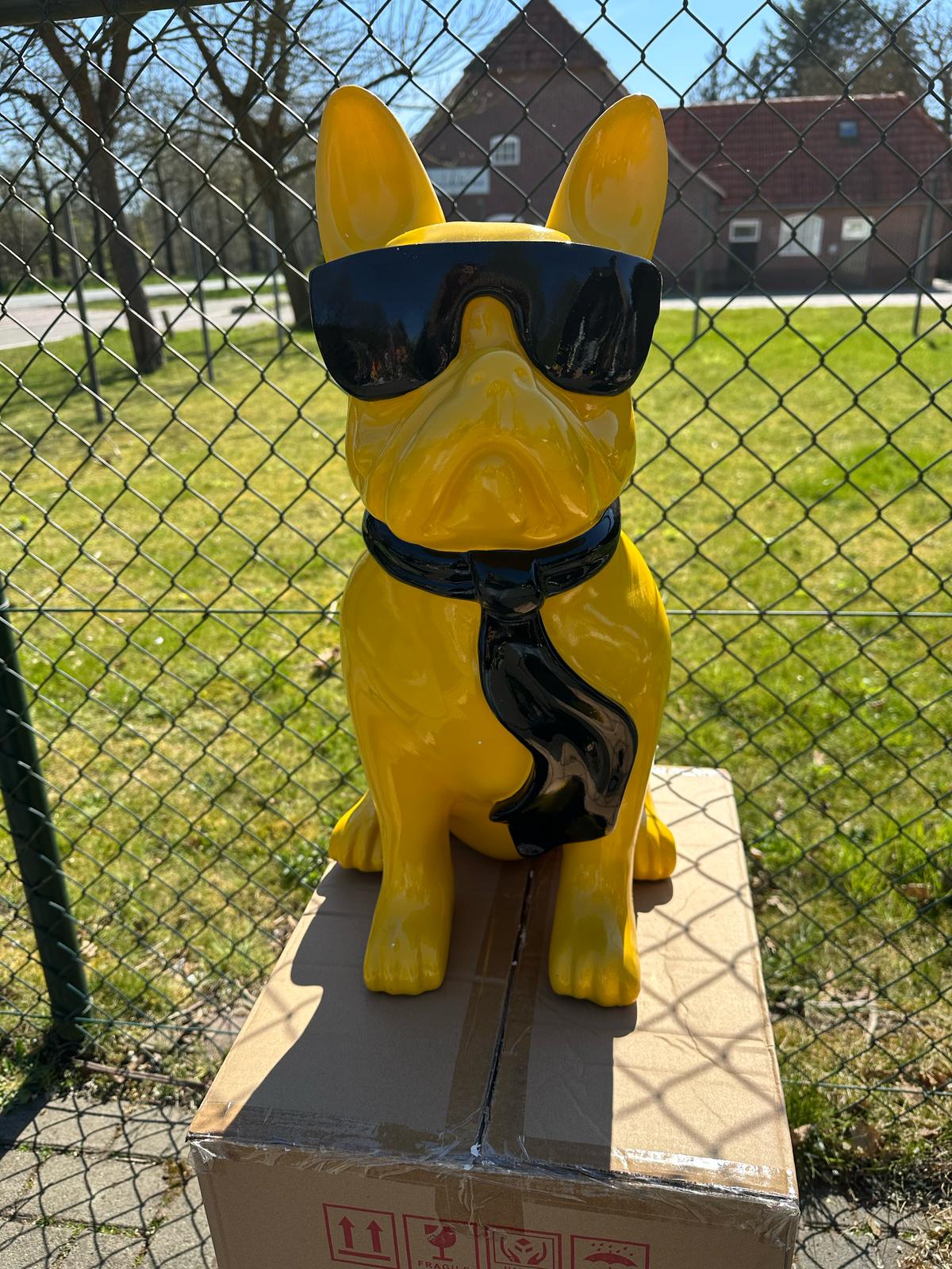 Franse Buldog met bril en stropdas (60cm hoog)