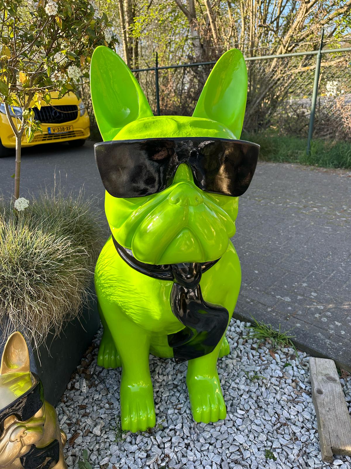 Franse Buldog met bril en stropdas (120cm hoog)