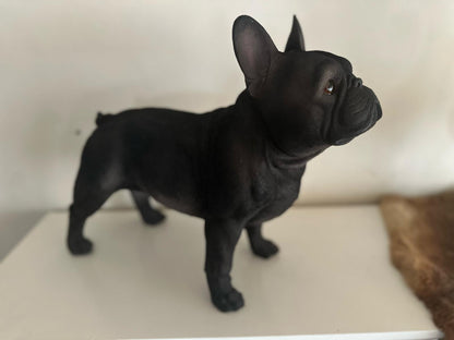 Franse Buldog - Buldog - staand - zeer mooi - Zwart