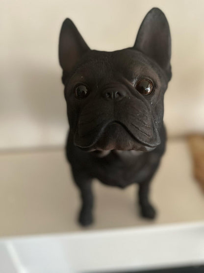 Franse Buldog - Buldog - staand - zeer mooi - Zwart