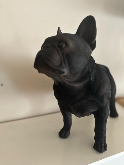 Franse Buldog - Buldog - staand - zeer mooi - Zwart