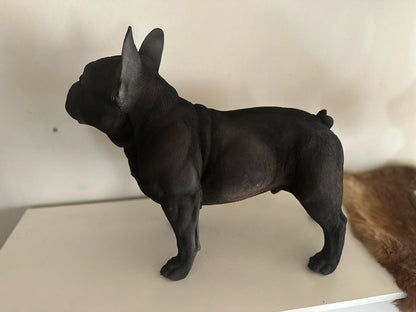 Franse Buldog - Buldog - staand - zeer mooi - Zwart