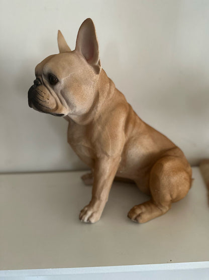 Franse Buldog - Buldog - zittend - zeer mooi