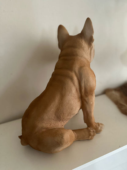 Franse Buldog - Buldog - zittend - zeer mooi