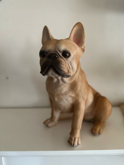 Franse Buldog - Buldog - zittend - zeer mooi