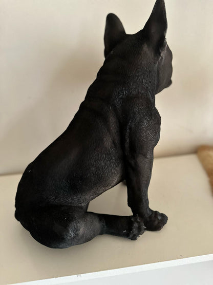 Franse Buldog - Buldog - zittend - zeer mooi