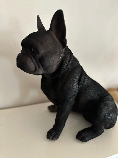 Franse Buldog - Buldog - zittend - zeer mooi