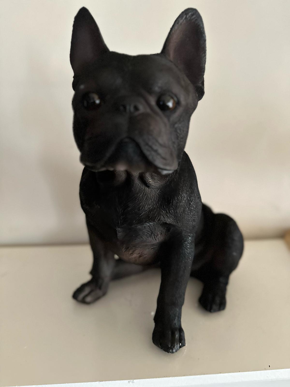 Franse Buldog - Buldog - zittend - zeer mooi