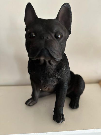 Franse Buldog - Buldog - zittend - zeer mooi