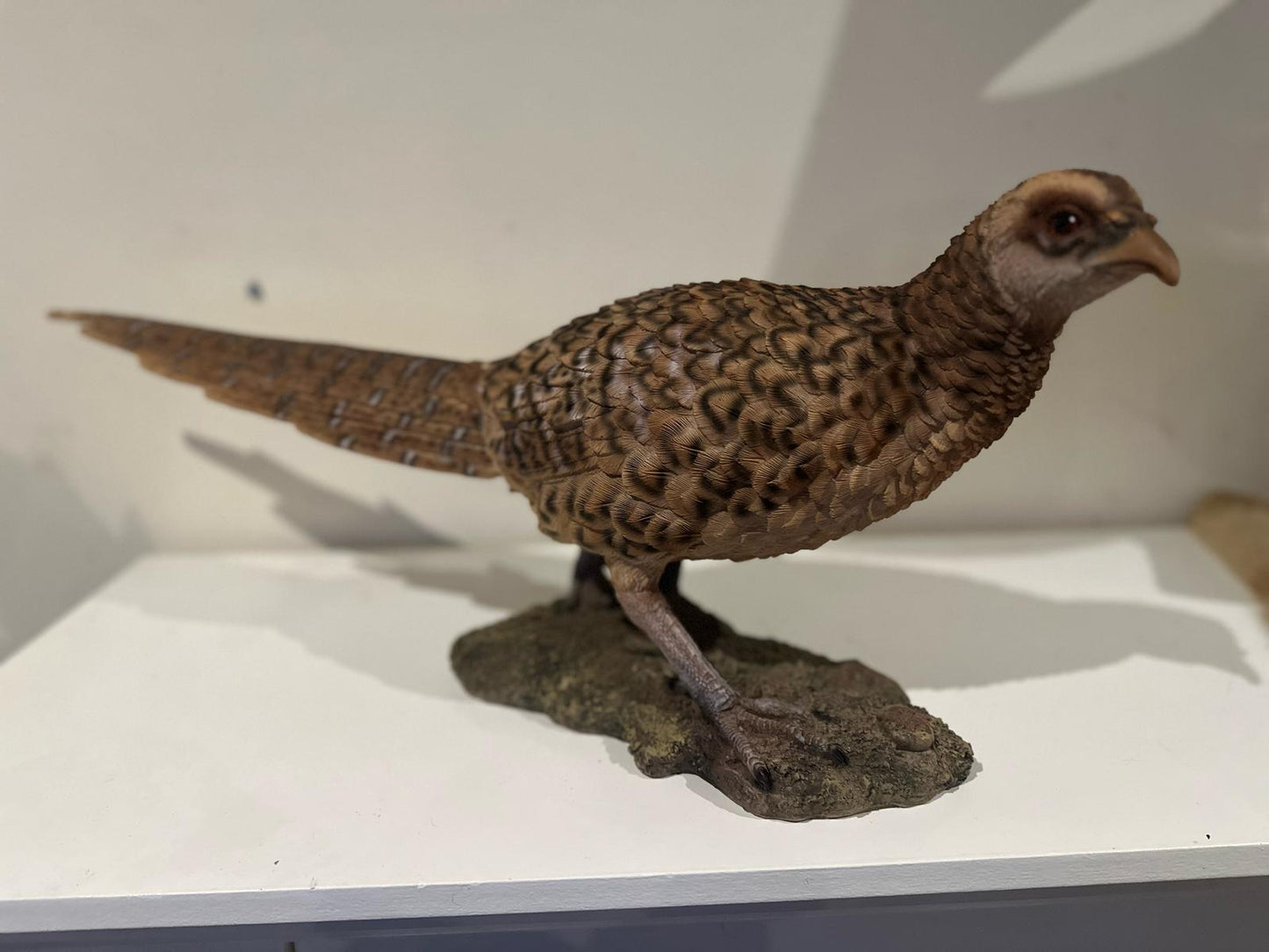 Fazant - origenele kleuren