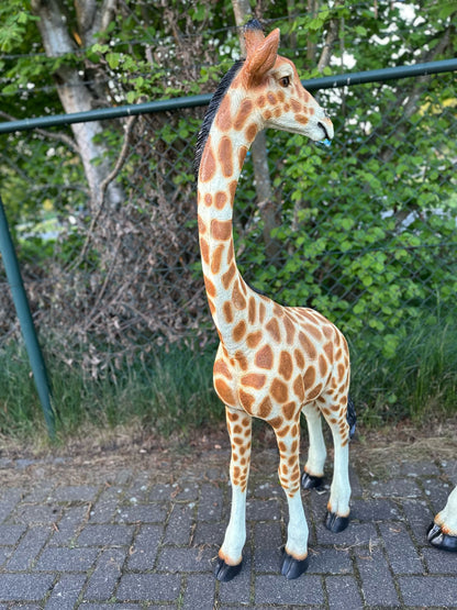 Giraf- staand - 150 cm hoog - Orginele kleur