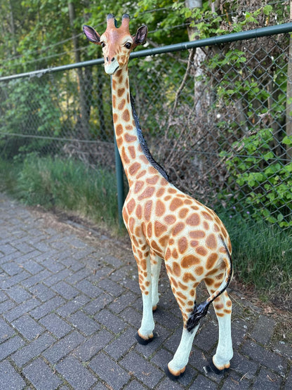 Giraf- staand - 150 cm hoog - Orginele kleur