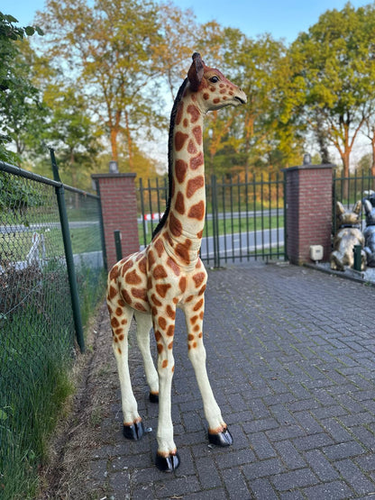 Giraf- staand - 190 cm hoog - Originele kleur