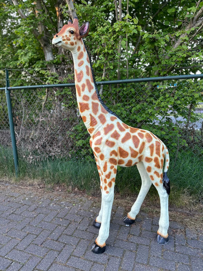 Giraf- staand - 190 cm hoog - Originele kleur