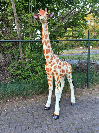 Giraf- staand - 190 cm hoog - Originele kleur