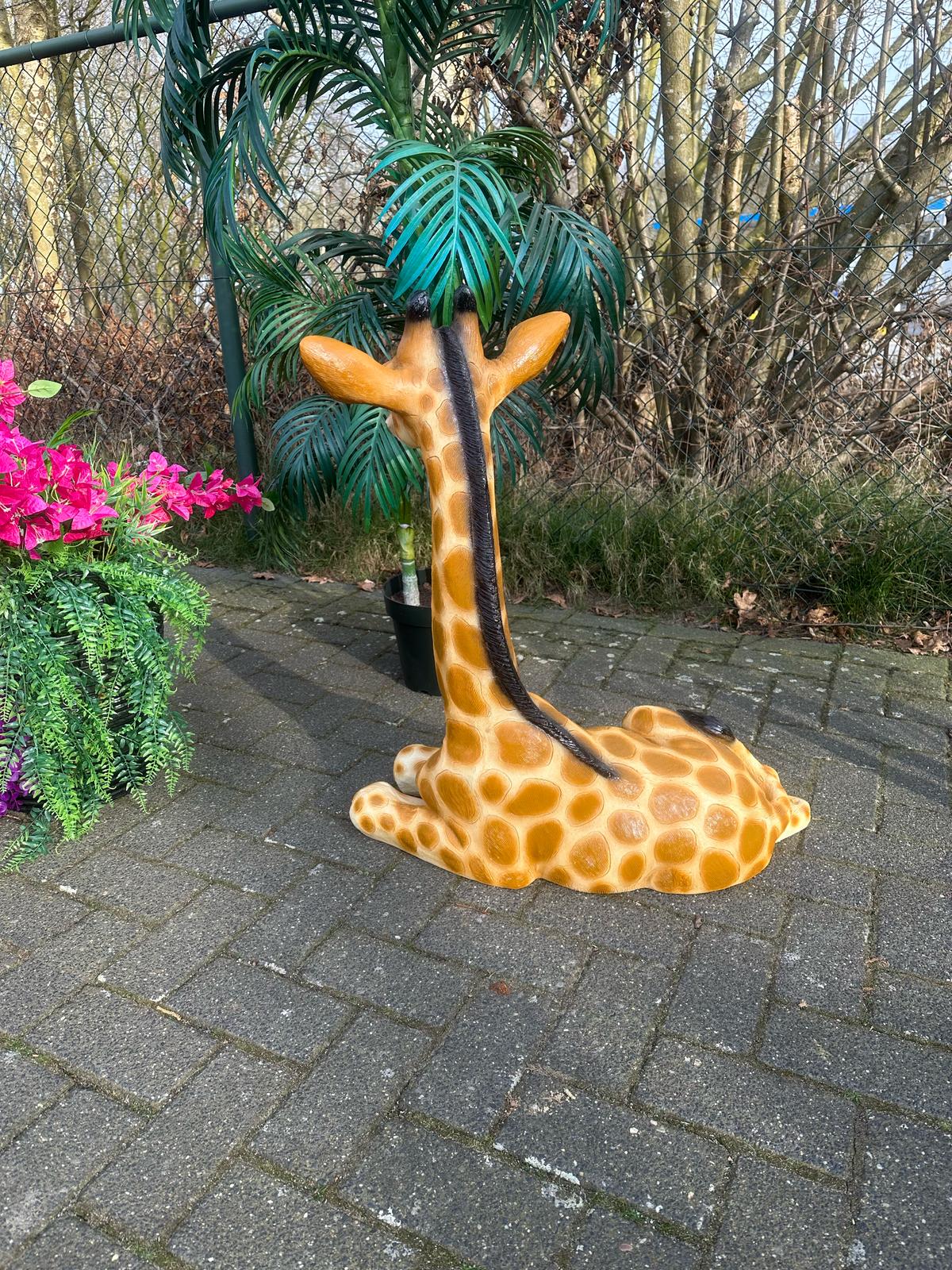 Giraf- liggend-  85 cm hoog - originele kleur