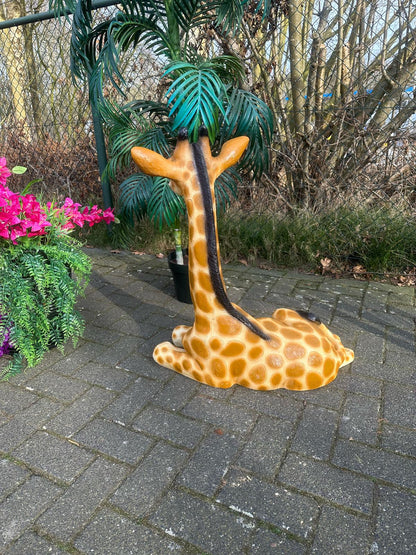 Giraf- liggend-  85 cm hoog - originele kleur