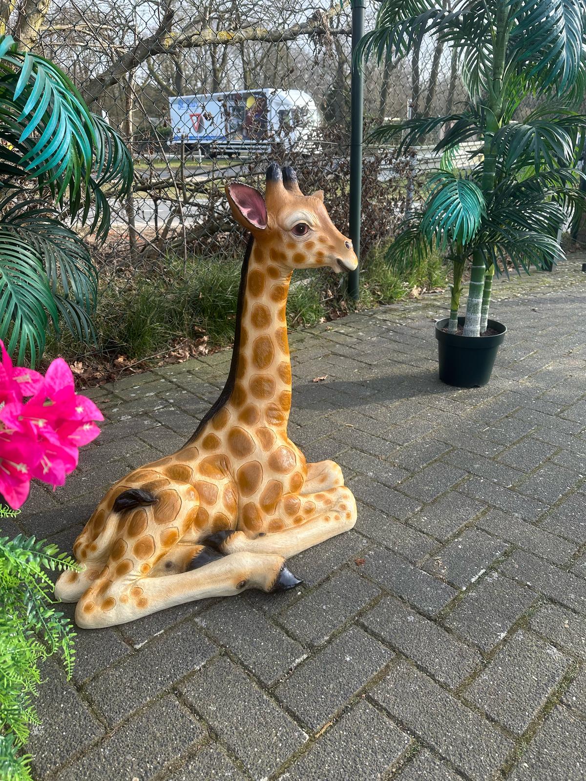 Giraf- liggend-  85 cm hoog - originele kleur
