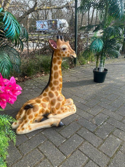 Giraf- liggend-  85 cm hoog - originele kleur