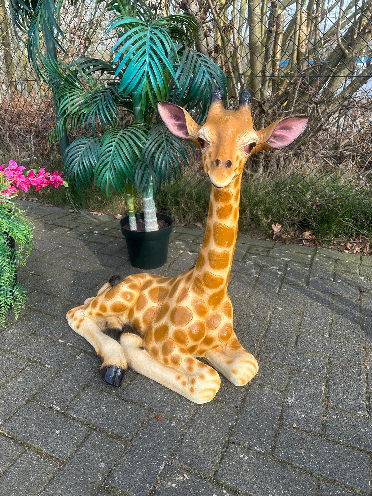 Giraf- liggend-  85 cm hoog - originele kleur