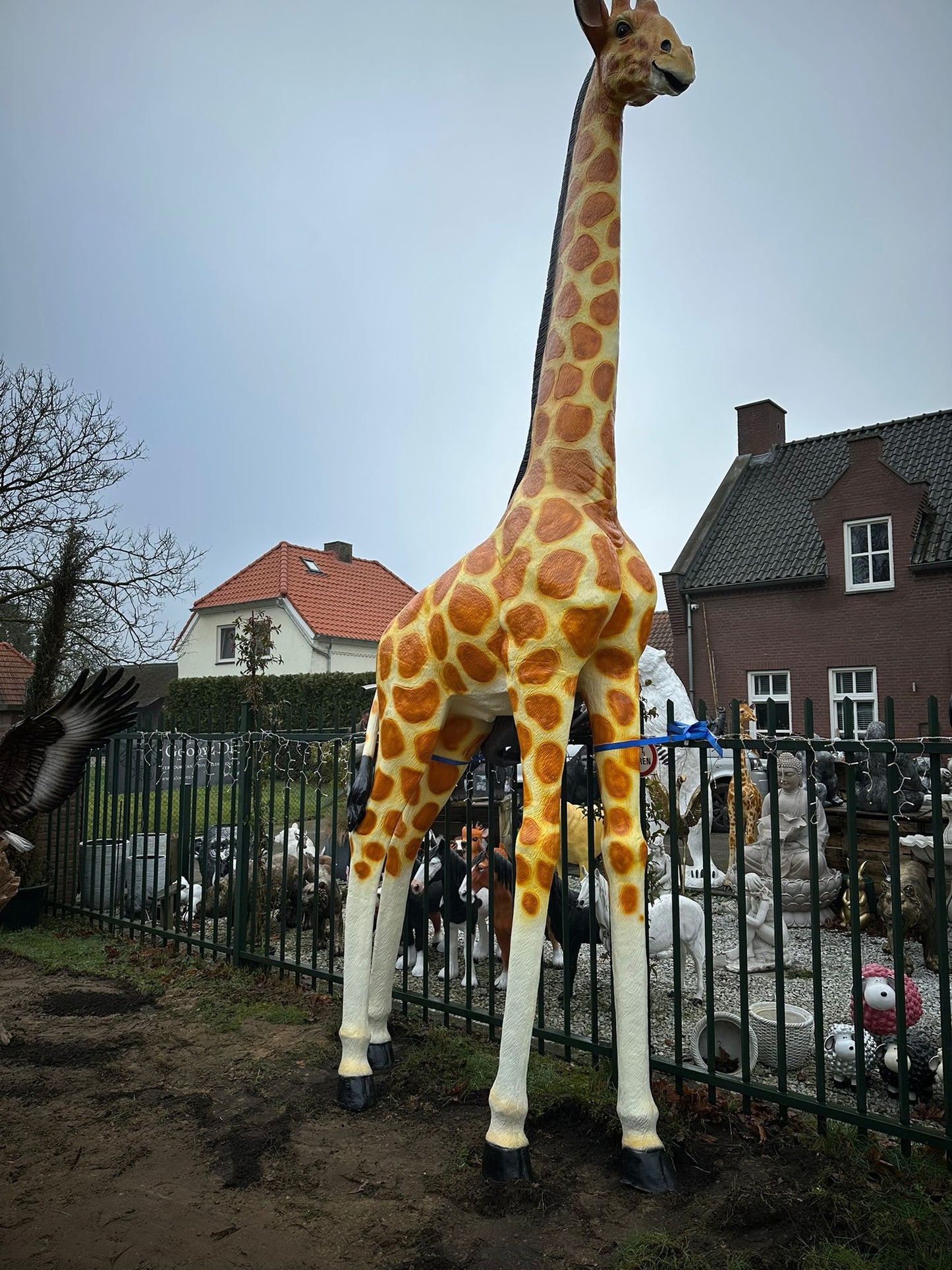 Jungle dieren- Giraf- Mega Giraf - XXXXXL -530 cm hoog - originele kleur