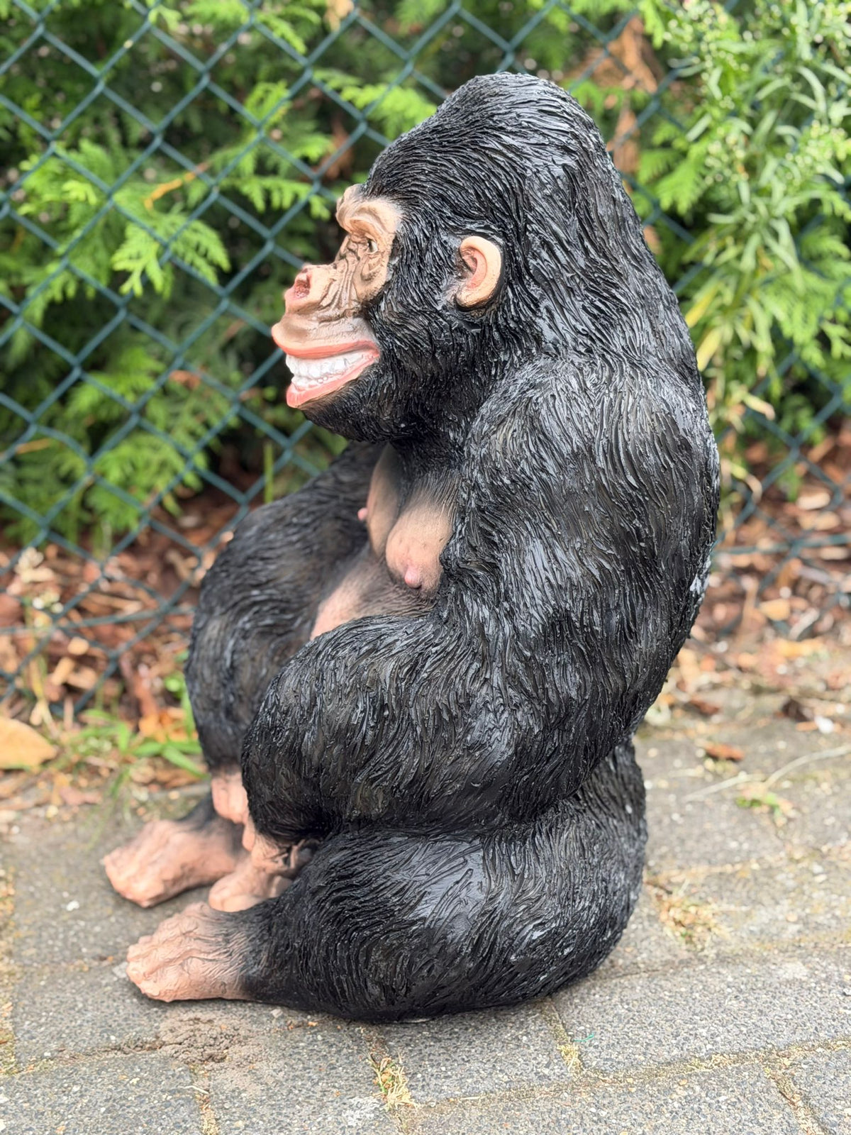 Nieuw model Gorilla lachend kijkend en zittend