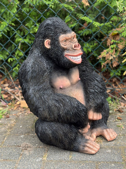 Nieuw model Gorilla lachend kijkend en zittend