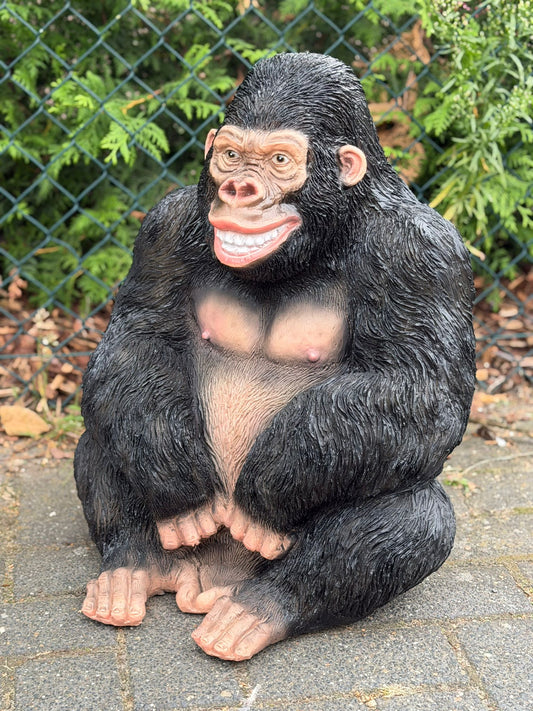 Nieuw model Gorilla lachend kijkend en zittend