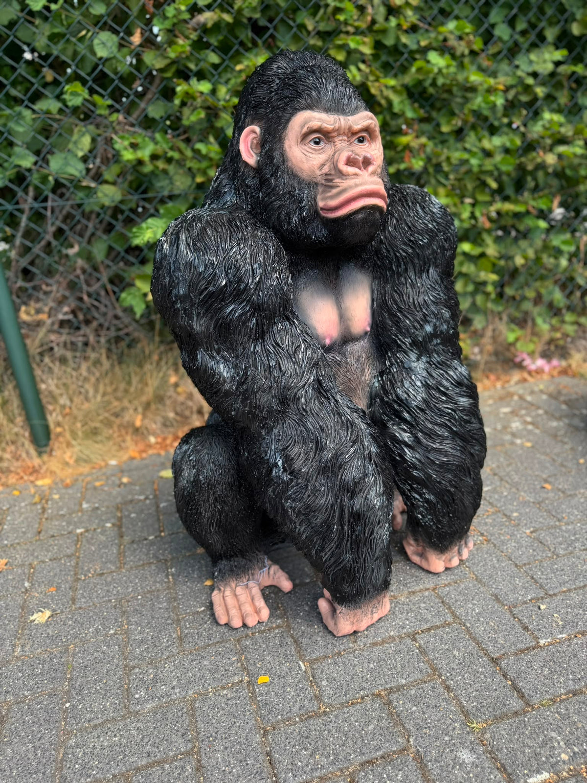 Nieuw model Gorilla zittend met de vuisten op de grond