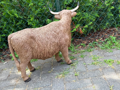 Hooglander koe met imposante hoorns (55 cm hoog)