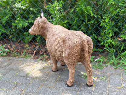 Hooglander koe met imposante hoorns (55 cm hoog)