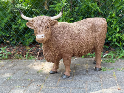 Hooglander koe met imposante hoorns (55 cm hoog)