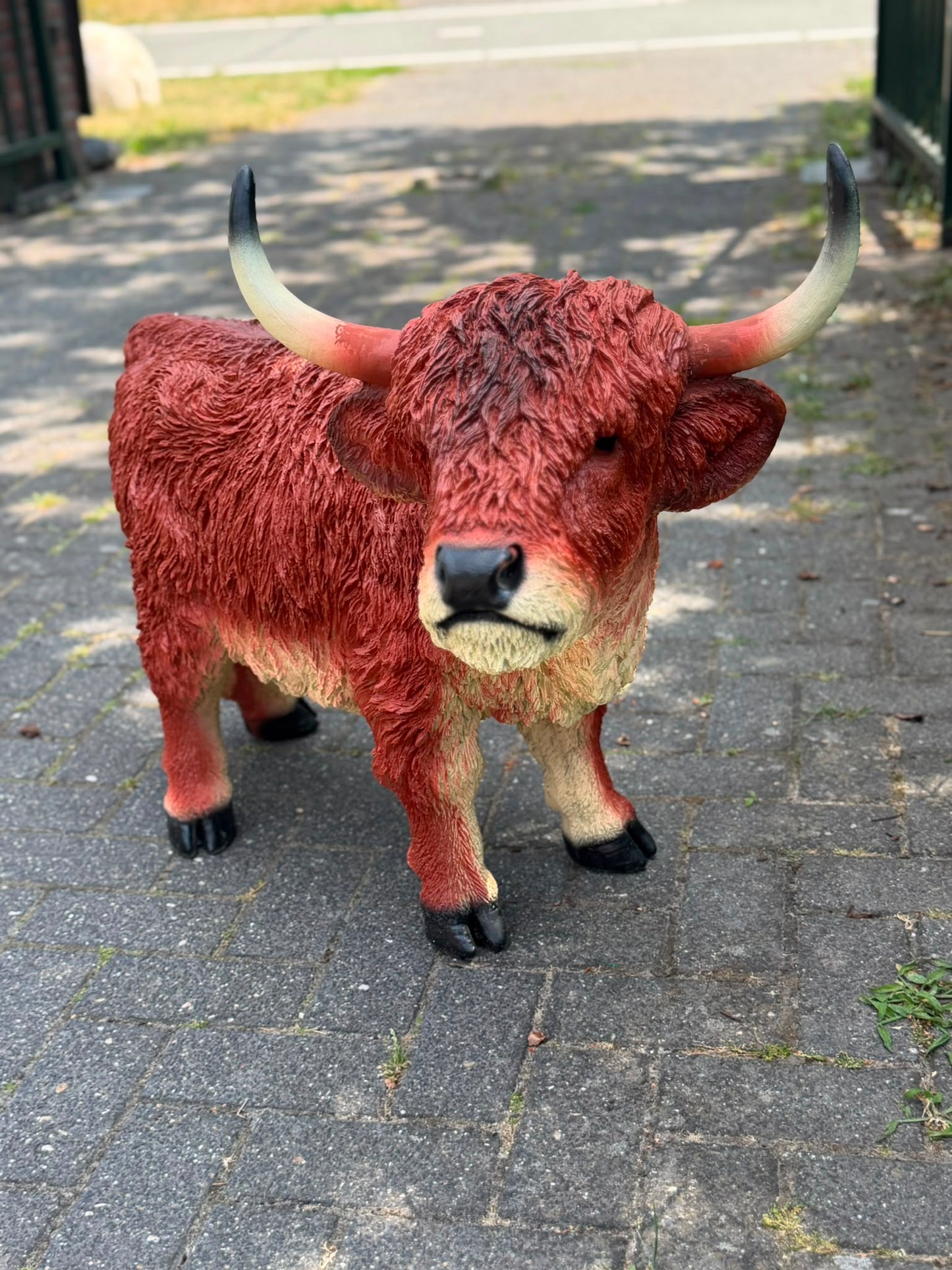Hooglander koe met hoorns (75 cm hoog)