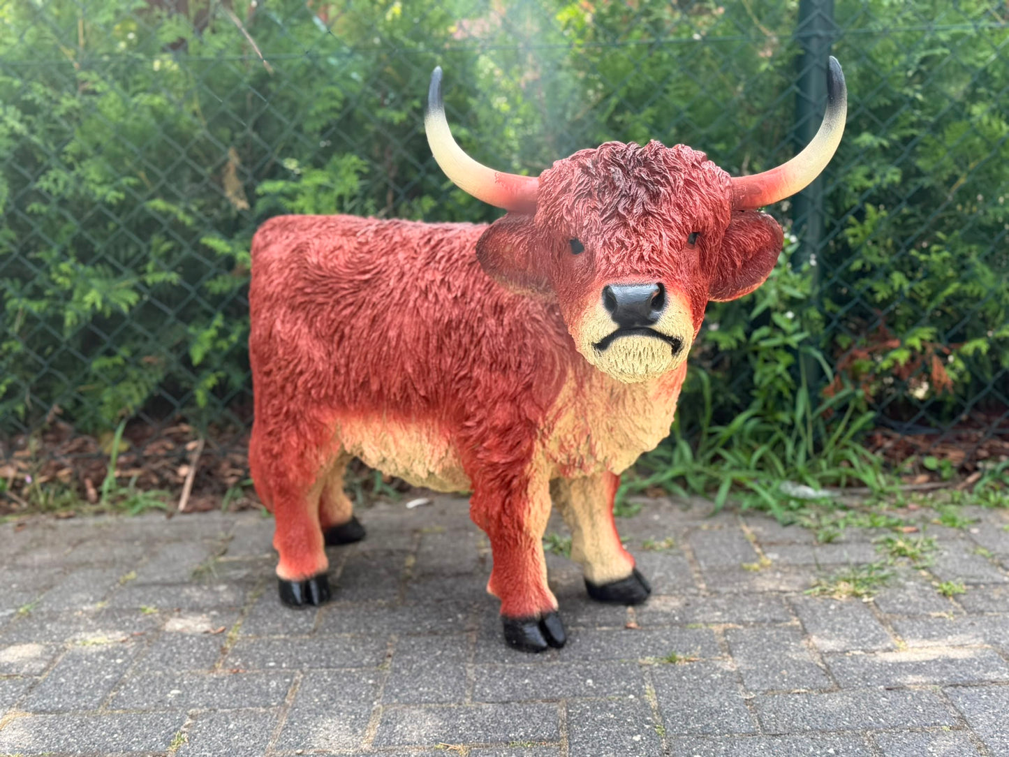 Hooglander koe met hoorns (75 cm hoog)