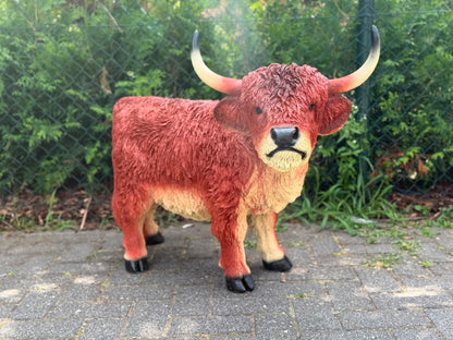 Hooglander koe met hoorns (75 cm hoog)