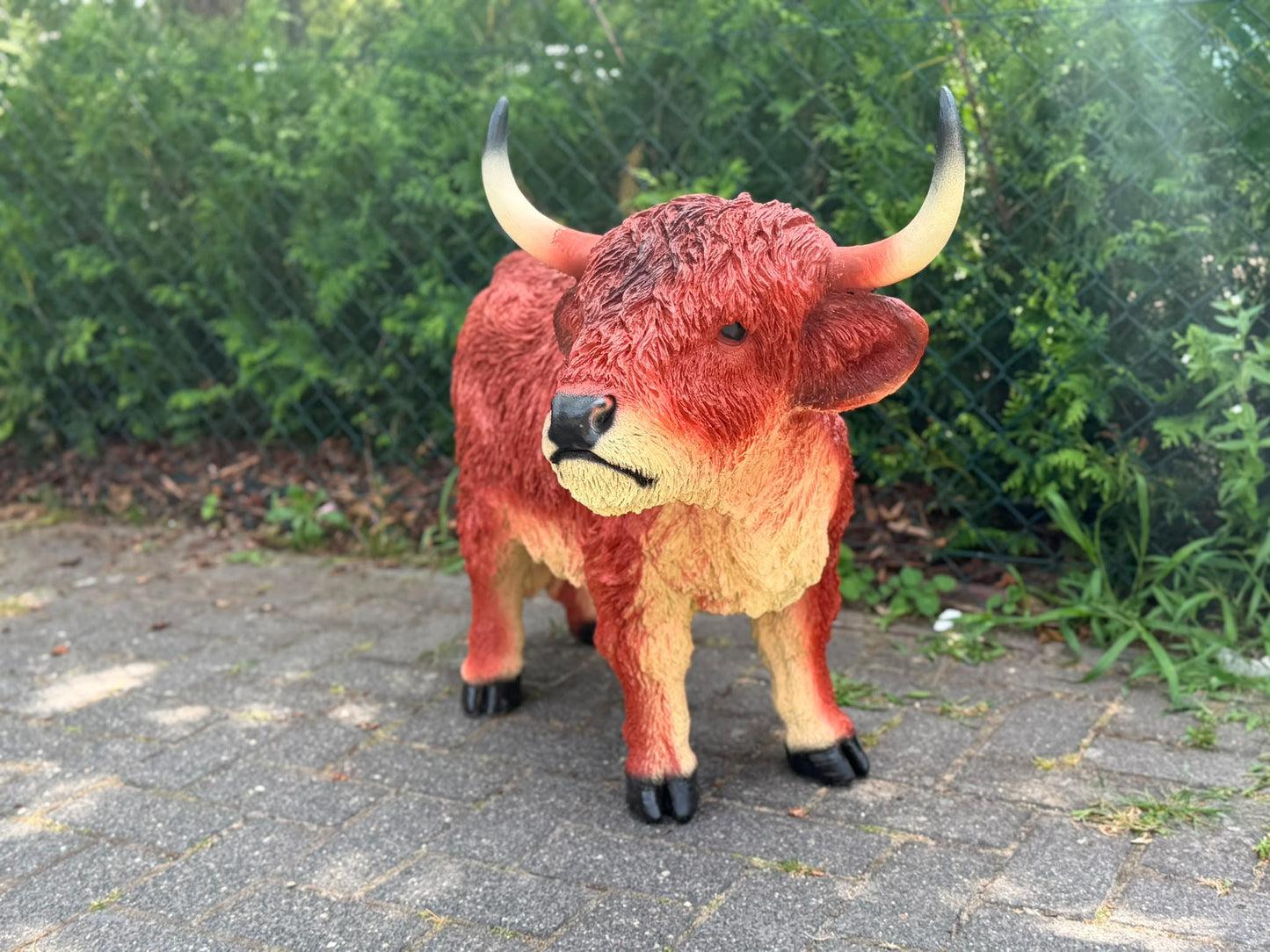 Hooglander koe met hoorns (75 cm hoog)