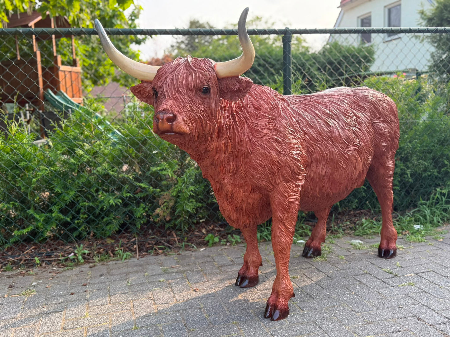 Hooglander koe met hoorns (staand) 135cm hoog en 180cm lang