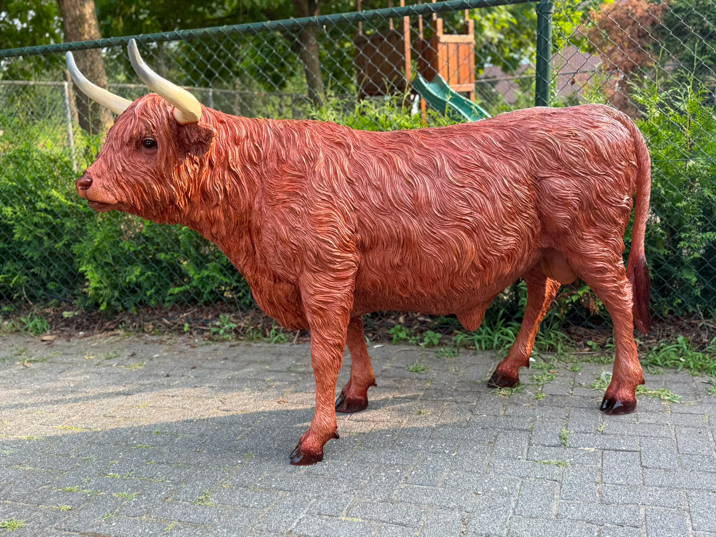 Hooglander koe met hoorns (staand) 135cm hoog en 180cm lang