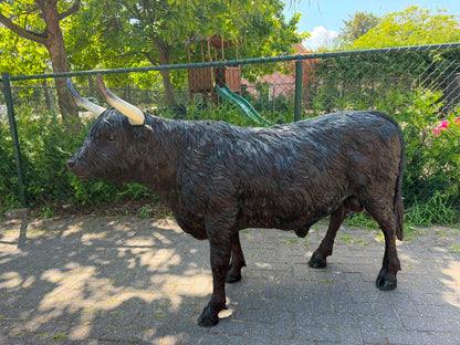Hooglander koe met hoorns (staand) 135cm hoog en 180cm lang