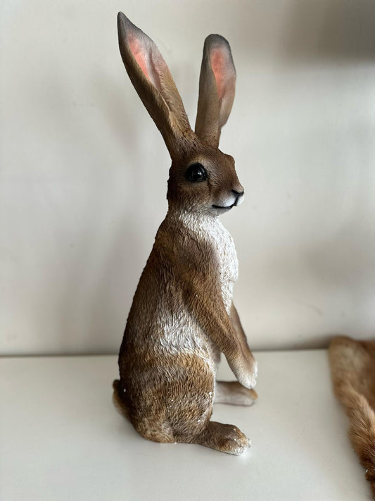 Haas - Hazen -staand - originele kleuren