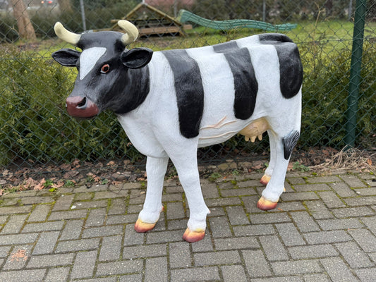 Koe - koeien - staand - 100cm hoog - 135cm lang - met hoorns