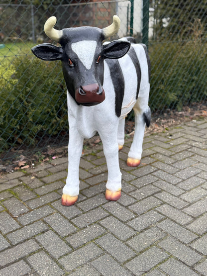 Koe - koeien - staand - 100cm hoog - 135cm lang - met hoorns
