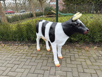 Koe - koeien - staand - 100cm hoog - 135cm lang - met hoorns