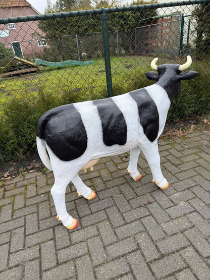 Koe - koeien - staand - 100cm hoog - 135cm lang - met hoorns