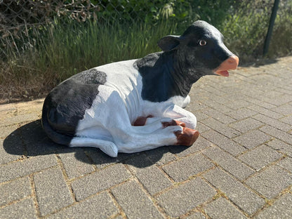 Koe kalf ruw liggend (45cm hoog)