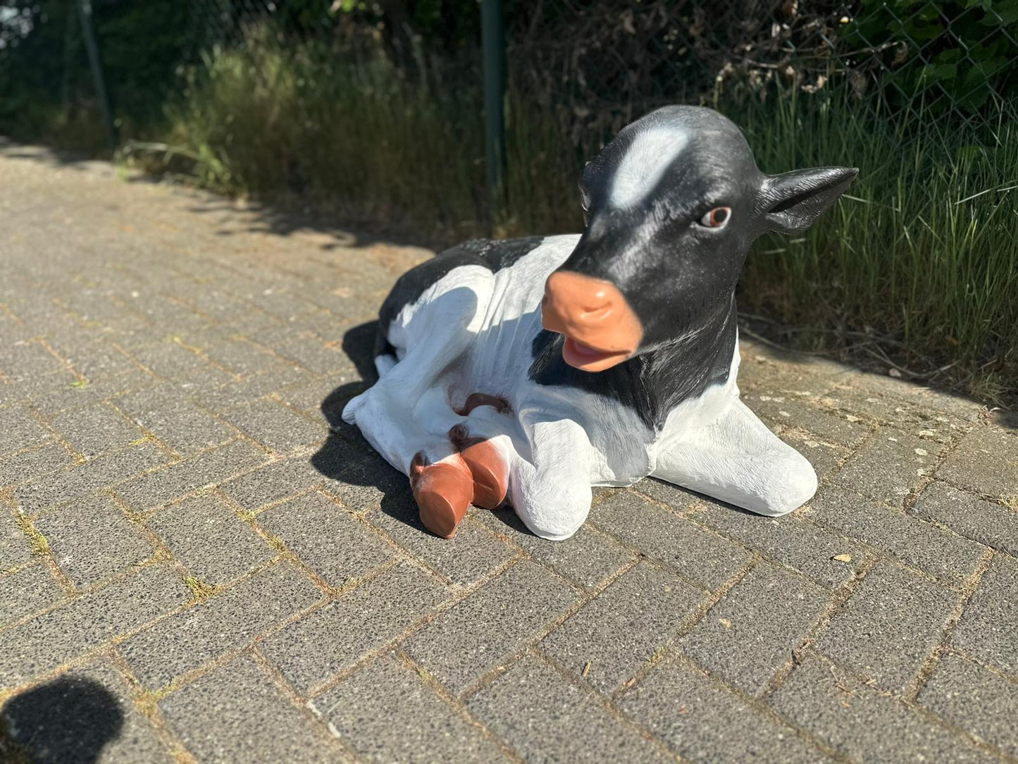 Koe kalf ruw liggend (45cm hoog)