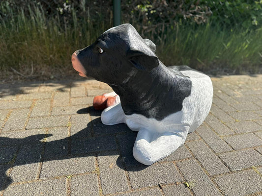 Koe kalf ruw liggend (45cm hoog)