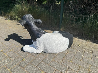 Koe kalf ruw liggend (45cm hoog)