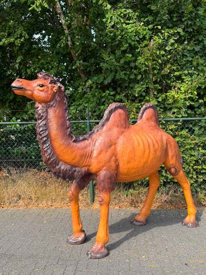 Mooie grote Kameel (250 cm lang en 195 cm hoog) imposante blikvanger !!