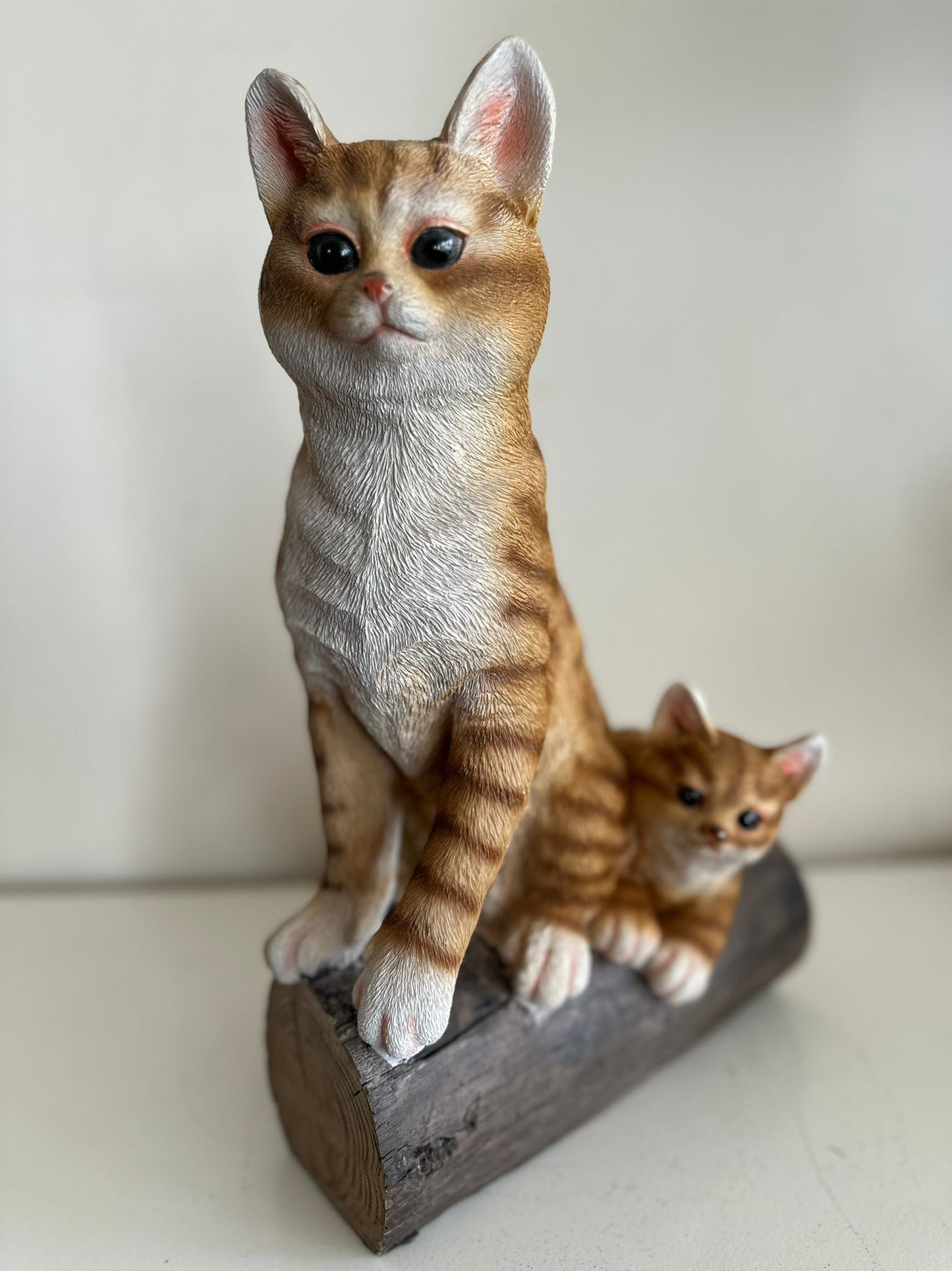Katten - Poes - Poezen - verschillende modellen